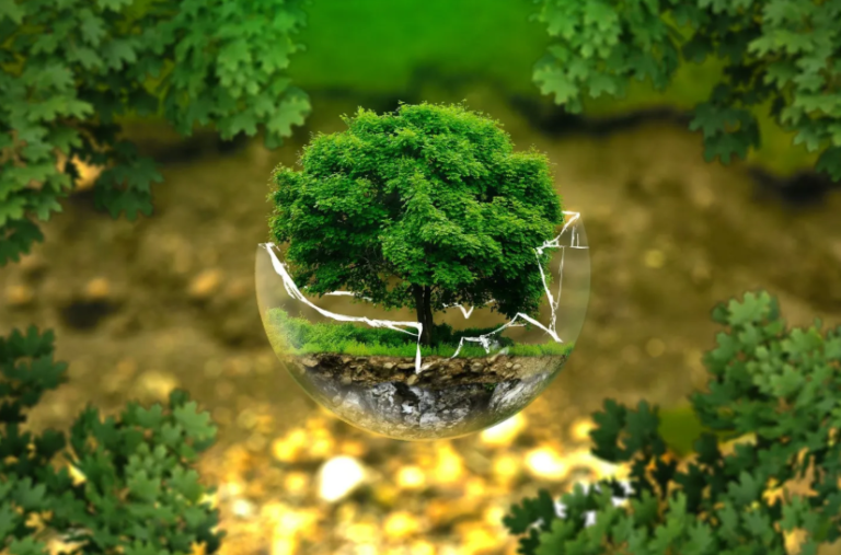 The Subtle Impact of Environment on Daily Life