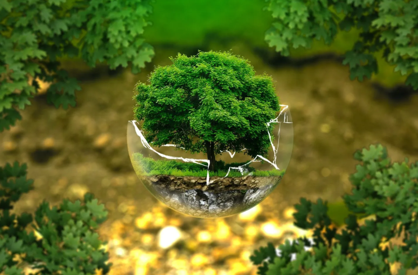 The Subtle Impact of Environment on Daily Life